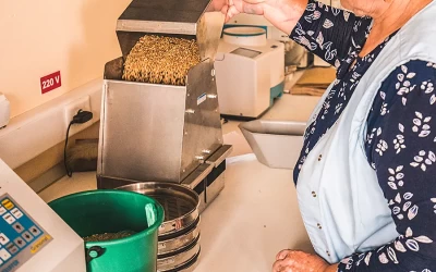 Ferme de gaini ouatoare si pui de carne